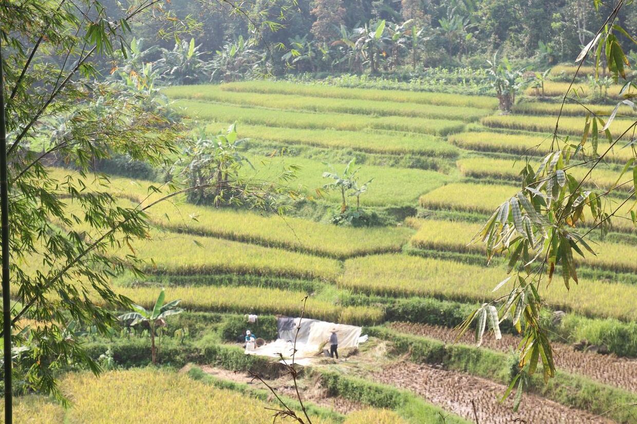 Tonton kisah Kampoong Ecopreneur